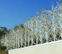 عکس شماره 15373 4