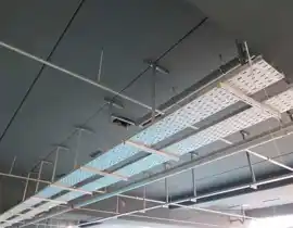 عکس شماره 16496 %D8%B3%D8%A7%D9%BE%D9%88%D8%B1%D8%AA(%D9%BE%D8%B1%D9%88%D9%81%DB%8C%D9%84)