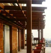 عکس شماره 18168 %D9%BE%D8%B1%DA%AF%D9%88%D9%84%D8%A7-%D8%B3%D8%A7%DB%8C%D9%87-%D8%A8%D8%A7%D9%86-%DA%86%D9%88%D8%A8%DB%8C