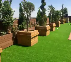 عکس شماره 18190 %D9%81%D9%84%D8%A7%D9%88%D8%B1%D8%A8%D8%A7%DA%A9%D8%B3