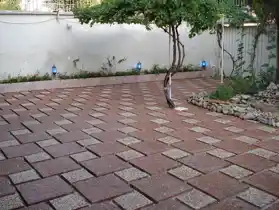 عکس شماره 19672 %D9%88%D8%A7%D8%B4-%D8%A8%D8%AA%D9%86-%D8%B3%D9%86%DA%AF%D8%B3%D8%A7%D9%86-%DB%8C%D8%B2%D8%AF