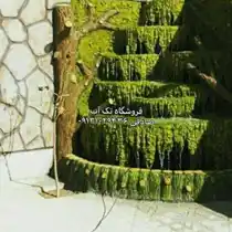 عکس شماره 19701 %D8%A7%D8%A8%D9%86%D9%85%D8%A7