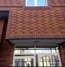 عکس شماره 21281 %D8%A2%D8%AC%D8%B1-%D9%86%D8%B3%D9%88%D8%B2