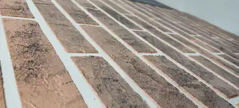 عکس شماره 22571 %D9%85%DB%8C%DA%A9%D8%B1%D9%88%D8%B3%D9%85%D9%86%D8%AA