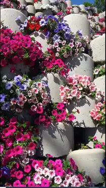 عکس شماره 32014 %D9%81%D8%B1%D9%88%D8%B4-%D9%88%DB%8C%DA%98%D9%87-%DA%AF%D9%84%D9%81%D9%88%DA%98