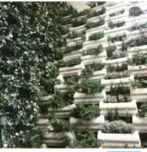 عکس شماره 32508 %D9%82%DB%8C%D9%85%D8%AA-%D9%88-%D8%AE%D8%B1%DB%8C%D8%AF-%D9%81%D9%84%D8%A7%D9%88%D8%B1%D8%A8%D8%A7%DA%A9%D8%B3-%D8%A8%D8%AA%D9%86%DB%8C