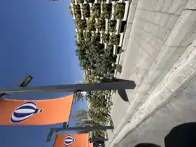 عکس شماره 32509 %D8%A8%D9%87%D8%AA%D8%B1%DB%8C%D9%86-%DA%AF%D9%84%D8%AF%D8%A7%D9%86-%D8%B4%DB%8C%D8%A8-%D8%A8%D9%86%D8%AF%DB%8C