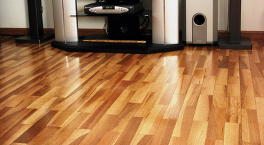 عکس شماره 335 %D9%BE%D8%A7%D8%B1%D9%83%D8%AA-%D8%A8%D9%84%D9%88%D8%B7