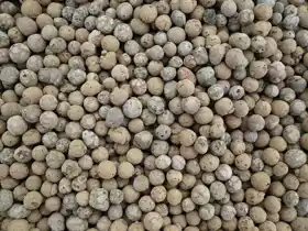 عکس شماره 6300 %D9%BE%D9%88%DA%A9%D9%87-%D9%85%D8%B9%D8%AF%D9%86%DB%8C