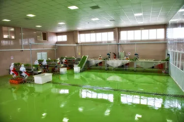 عکس کفپوش اپوکسی 16527