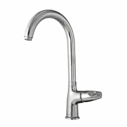 عکس شیر طلایی 16531