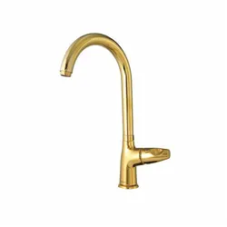 عکس شیر طلایی 16533