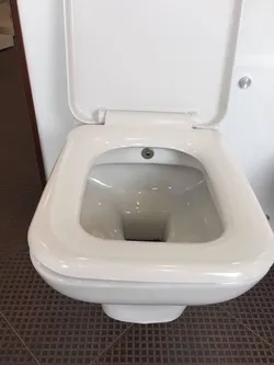 عکس فرنگی 17667