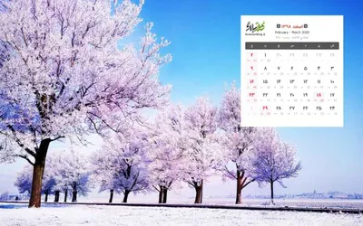 عکس سیم و کابل شاهین لوگو 18673