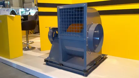 عکس فوروارد 196