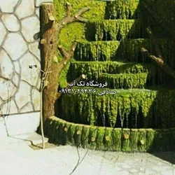 عکس ابنما 19701