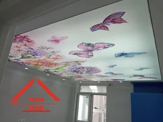 عکس سقف کشسان چاپی 19845