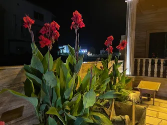 عکس منزل ویلایی130 متری با بهترین لوکیشنو بهترین متریال 36729