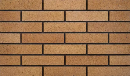 عکس آجر شاموتی تیره کد AS13 45278