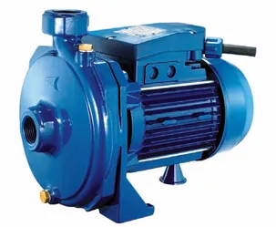 عکس 1 اسب بشقابی  5419