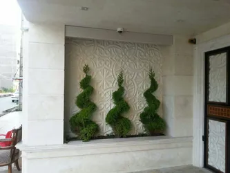 عکس نیلوفر 61