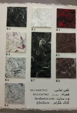 عکس اجرای یک روزه بلکا و رومالین 9382