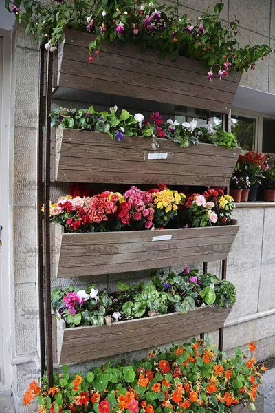 عکس فلاور باکس 12963