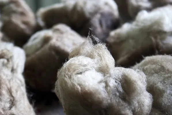 عکس پشم سنگ فله (Raw Wool) تصویر شماره 1 1735