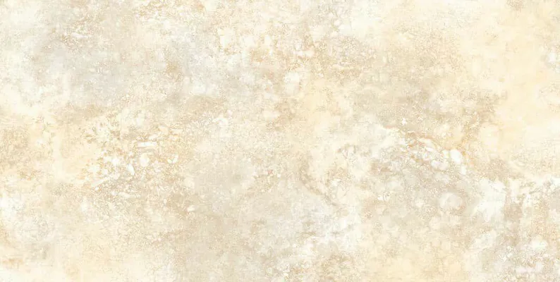 عکس بوستون کرم روشن 17467