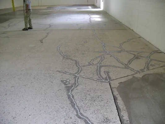 عکس ماستیک  17629