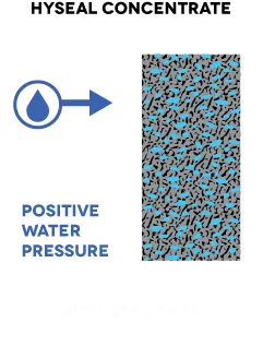 عکس هایسیل  17635