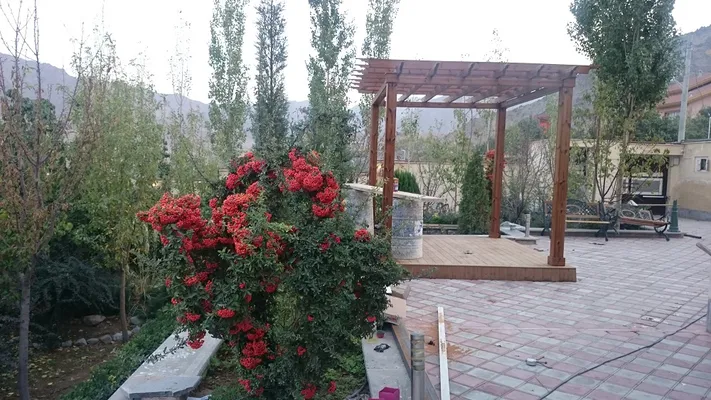 عکس ترمووود فنلاندی. پرگولا 18554