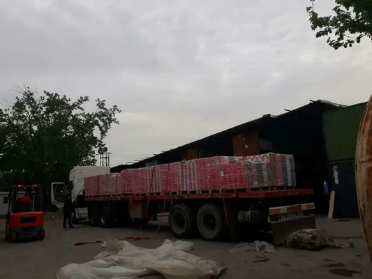 عکس sodachi business grop 19193