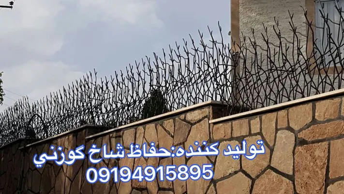 عکس حفاظ شاخ گوزنی 21078