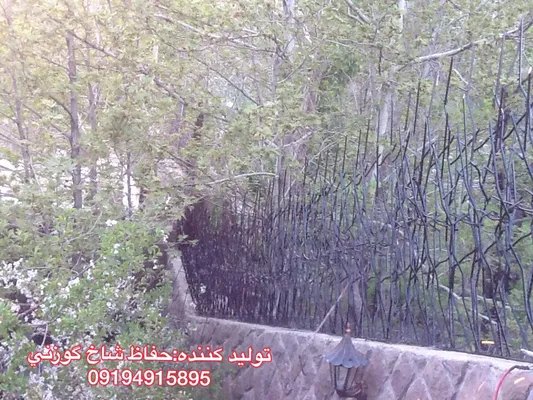 عکس حفاظ شاخ گوزنی 21121