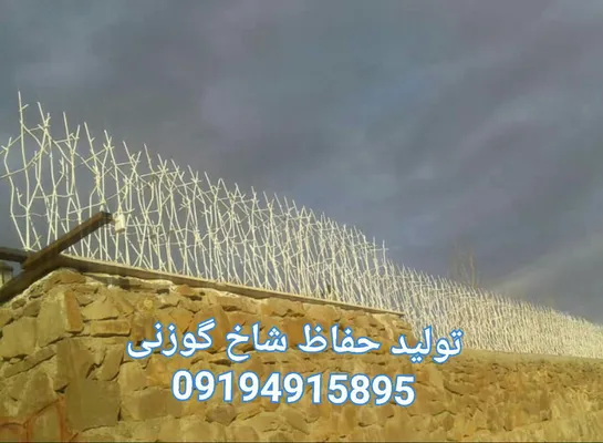 عکس حفاظ شاخ گوزنی 21124