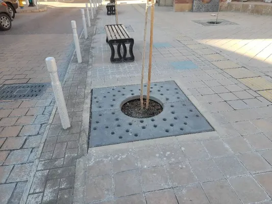 عکس دور درختی 21801