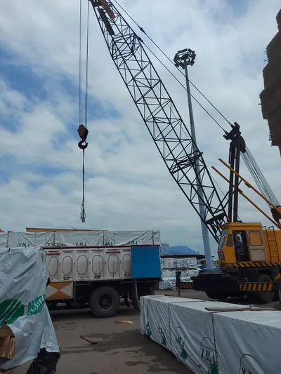 عکس پخش کننده چوب نراد روسی در تمامی ابعاد 35673