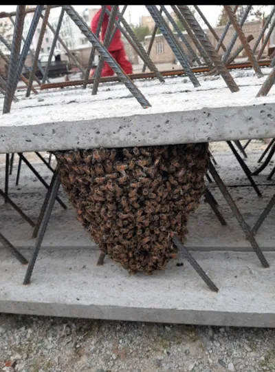 عکس انواع تیرچه استاندارد بتنی و کرومیت  37103