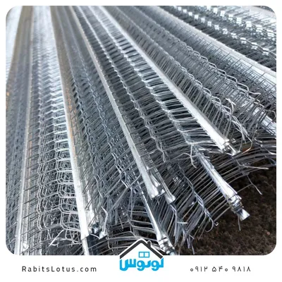 عکس رابیتس 41512