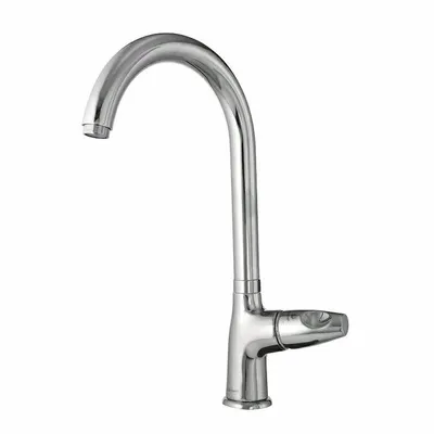 عکس شیر برنزی 43664