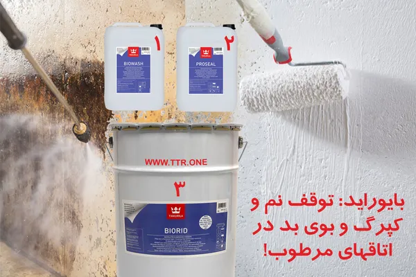 عکس پوشش "بایوراید" برای توقف رطوبت و پیامدهای آن 6013