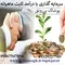 بهترین سرمایه گذاری با سود ماهانه و شراکت در کار پرسود